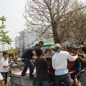 Xe nâng chậu cảnh chậu mai 300kg 500kg 350kg 1000kg tại Sài Gòn